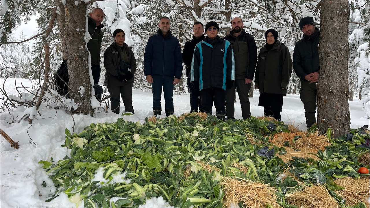ÇERKEŞ’TE YABAN HAYATINA ŞEFKAT ELİ!