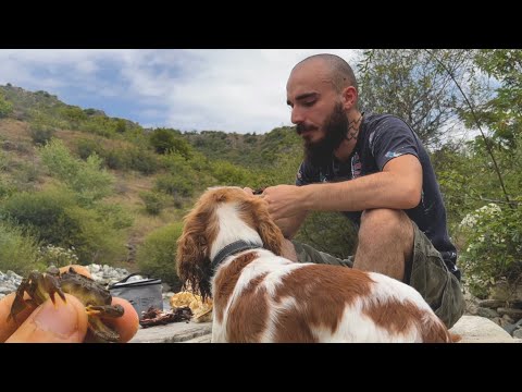 ლაშქრობა მდინარეზე - კრაბების დაჭერა, ტაისონმა ყვინთვაც ისწავლა