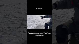 Плотва Днепр 6 часть #днепр #рыбалка #рыбалканаозере #плотва #fishing #рыбалканафидер #рибалка
