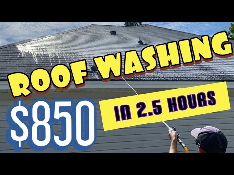 ROOF WASHING WE MADE $850 IN 2.5 HOURS