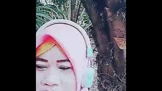 ngeri banget nyanyi di tengah kebun sawit ..lagu suket teki