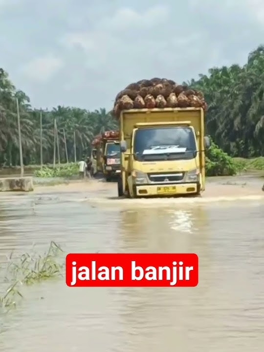 skil driver#automobile #sawit #trukmania #trukoleng