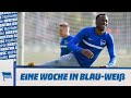 HaHoHe - Eine Woche in Blau-Weiß | 3. Spieltag | FC Bayern vs. Hertha BSC