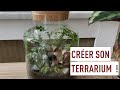 Crer son propre terrarium de plantes 