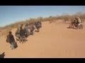 Аризона: пустыня мёртвых нелегалов