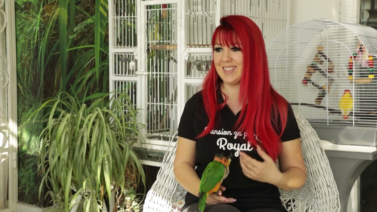 Moj savršeni ljubimac ep. 195 13.03.2023. Pansion za pse i ptice “Royal”