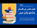   فعل ماضی کی اقسام پشتو زبان میں