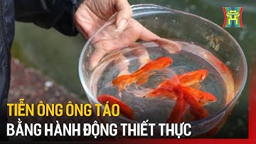 Tiễn ông Công, ông Táo bằng hành động thiết thực | Hà Nội 18:00