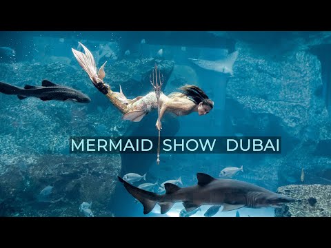 Mermaid Show in Dubai Mall Aquarium (2021)