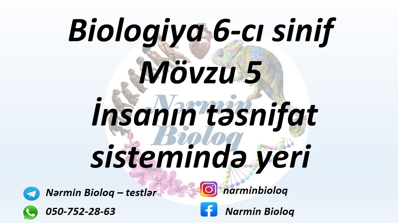 Biologiya 6-cı sinif mövzu 5. İnsanın təsnifat sistemində yeri