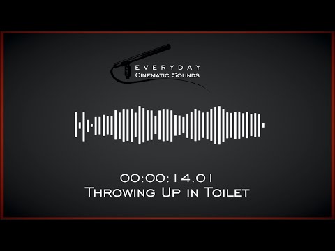 Throwing Up in Toilet | HQ Sound Effect