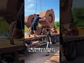 ペタルホイールこそが、圧路機の究極形なんだ。#知識#科普#機械