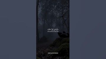 🎧🤍 ارح سمعك مع تلاوة خاشعة بصوت إسلام صبحي | صلوا على النبي محمد ﷺ 🌿✨ #إسلام_صبحي #short