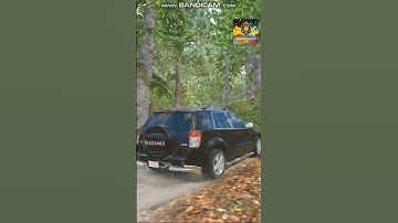 Suzuki Vitara in Forest