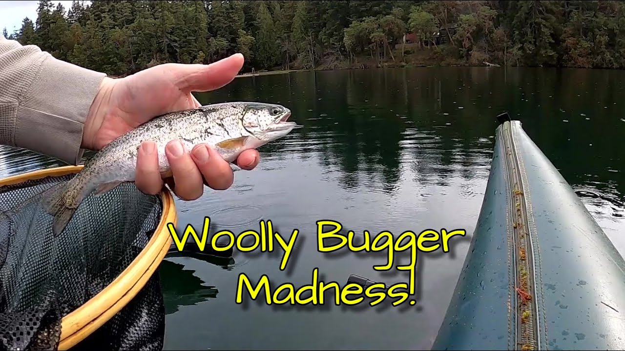 Fly Fishing For Rainbow Trout  Woolly Bugger Madness 