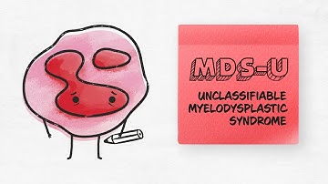 MDS Unclassifiable (MDS-U) –MDS World Awareness Day | MDS Alliance