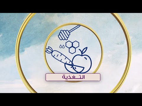 لقاء مع صانع المحتوى أدهم نور لعمل وصفات بسعرات حرارية قليلة هي وبس