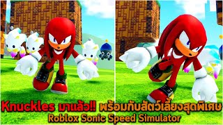 Knuckles มาแล้ว พร้อมกับสัตว์เลี้ยงสุดพิเศษ Roblox Sonic Speed Simulator