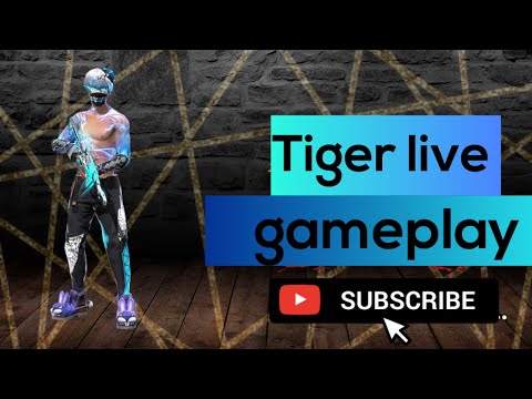 Live streaming of TIGER GAMING