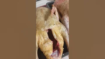 Индоутки...Мясо круглый год