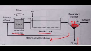 Selectores en el sistema de lodos activados by Dr. Ricardo Beristain Cardoso 1,530 views 3 years ago 12 minutes, 20 seconds