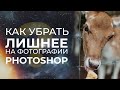 Как убрать сложные объекты с фотографии в photoshop?