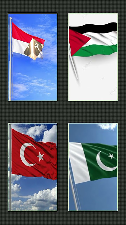 Download lagu allah #sholawat #laguanaksholawat #youtubeshorts #palestine #pakistan