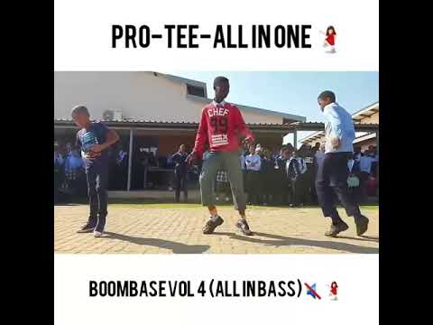 Pro-Tee-All in One