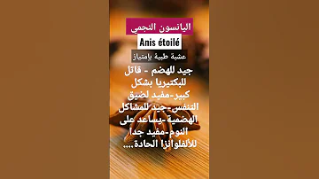 مالا تعرفونه عن فوائد اليانسون النجمي 