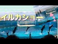 新 江ノ島水族館🐬イルカショー🐬2018 の動画、YouTube動画。