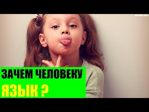 Зачем человеку язык?