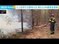 パリ近郊の森林火災で放火未遂疑い　新たに46歳男を逮捕　車からライターなど見つかる(2026年7月15日)
