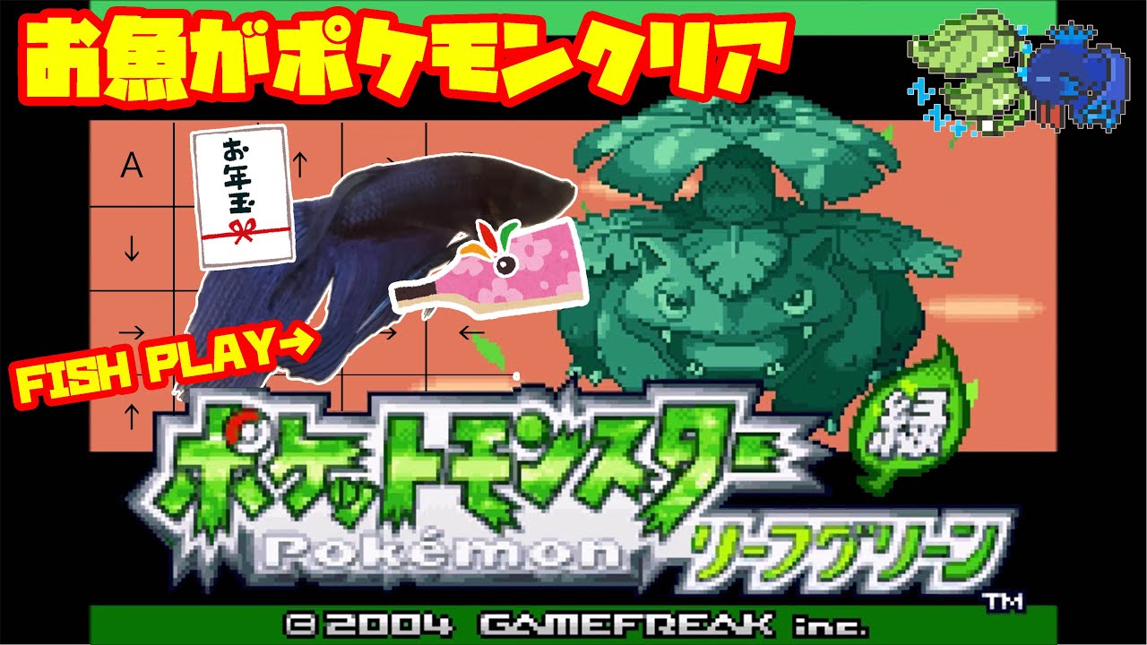 1097h アジト攻略編 ペットの魚がポケモンクリア Fish Play Pokemon 作業用bgm 的youtube视频效果分析报告 Noxinfluencer