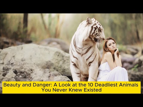 Beauty and Danger: A Look at the 10 Deadliest Animals You Never Knew Existed