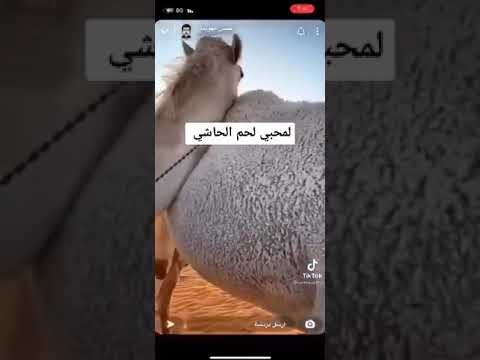 أطعم جزء في الحاشي