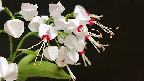 ABC TV | How To Make Bleeding Heart Vine Paper Flower With Shape Punch - Craft Tutorial