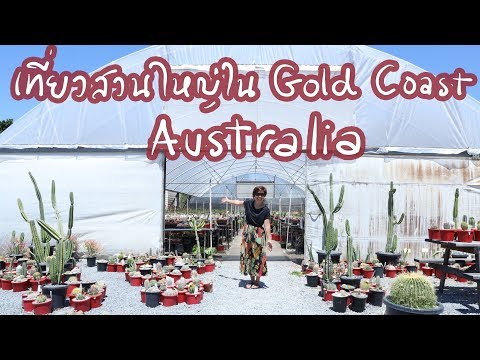เที่ยวสวนแคคตัส&ไม้อวบน้ำที่ออสเตรเลีย Spectrum Plants Gold Coast | Cactus Journey EP.46