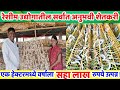 रेशीम उद्योग | रेशीम शेती | तुती लागवड |Reshim Udyog | Reshim Sheti | Silk Farming | शोध वार्ता |