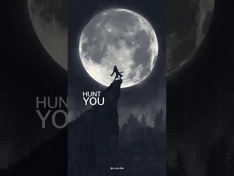 Maroon 5 Animal Song Staus Maroon5 Popular Music Maroon5songs Animalsong