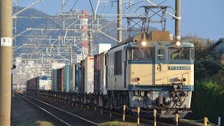 EF64 1006号機　3075レ貨物列車　沼津‐片浜間