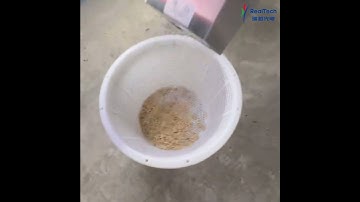 RealTech BL30 Herbs Color Sorting #colorsorter #ricecolorsortermachine #wheatcolorsortermachine