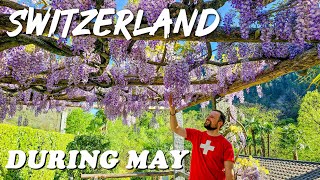 Traveling Switzerland in MAY? What you need to know! Weather and more! [Full Travel Guide]