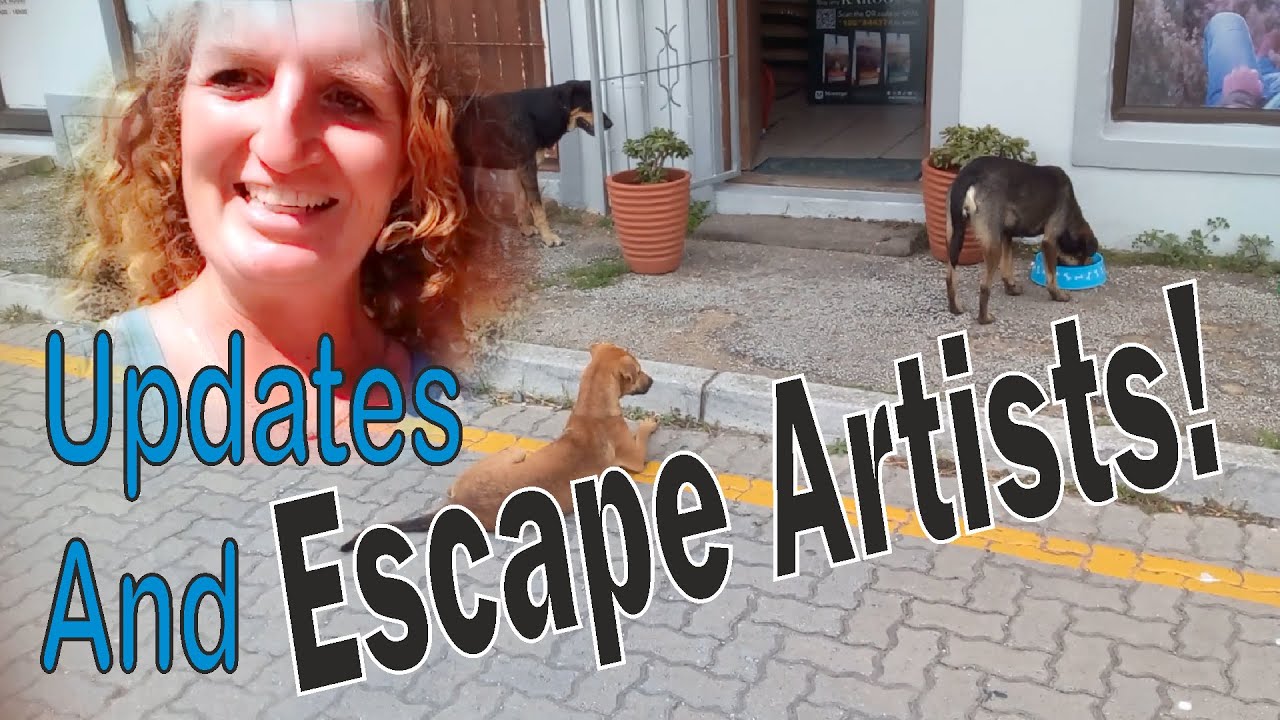 Updates (And Escape Artists!)