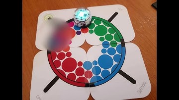 Coding   bee bot blue bot and ozobot