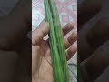 #god motivation #speach #drumsticks #vegetables #helth #varal #ytshorts #astrology #nature #united