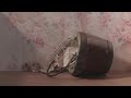 MELANIE MARTINEZ GARBAGE Snippet 