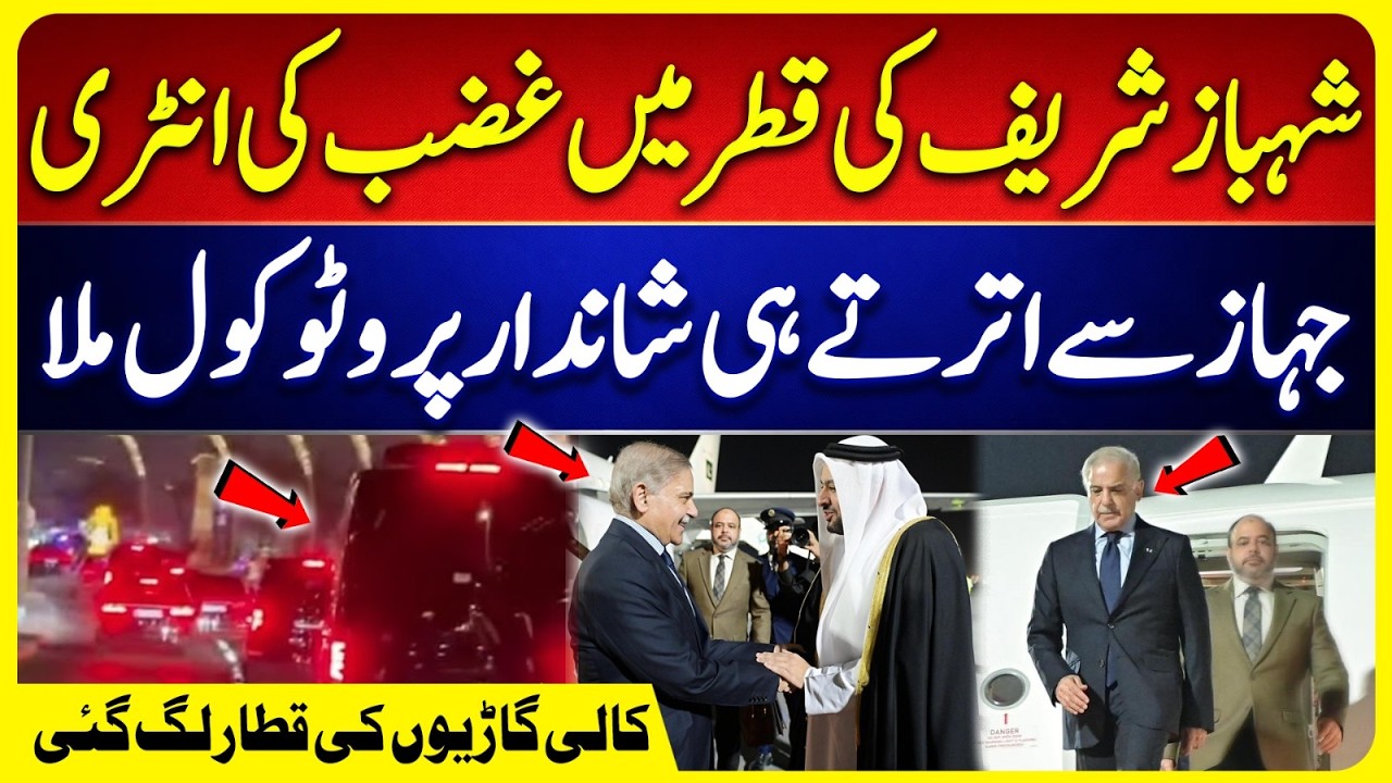 Pak Vip Protocol Shahbaz Sharif Receives VIP Protocol on Arrival in Qatar | PM Shahbaz ...