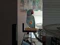 Parrot:  One Proud Bird finds candy.