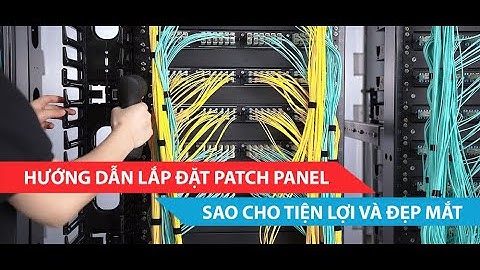VTXVN - Hướng dẫn lắp đặt Patch Panel sao cho đẹp và chính xác
