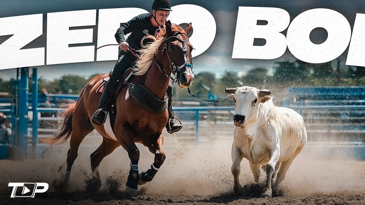 FORRÓ DE VAQUEJADA 2025 – LENHADA BRUTA PRA TOCAR NO PAREDÃO | REY VAQUEIRO, ARREIO DE OURO, ZÉ VAQ